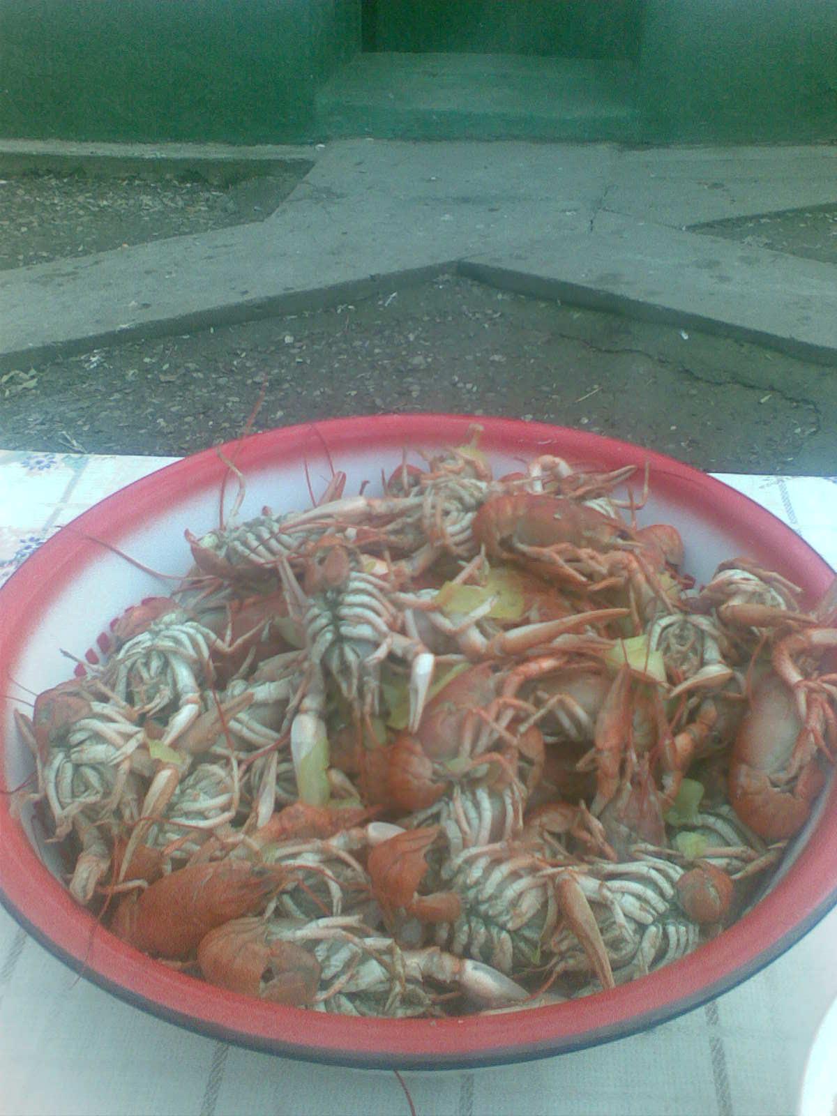 Bogdan - image006.jpg